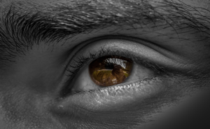 A Book Report: Eye Movement Desensitization and Reprocessing (EMDR)