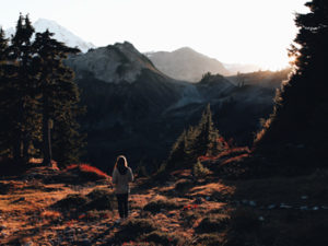 Emotional Readiness: An Elusive Factor in Attaining Settlement