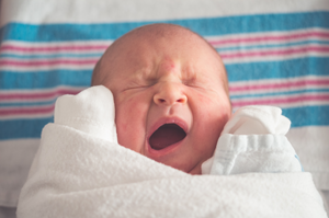 Parenting Arrangements for Breastfeeding Infants